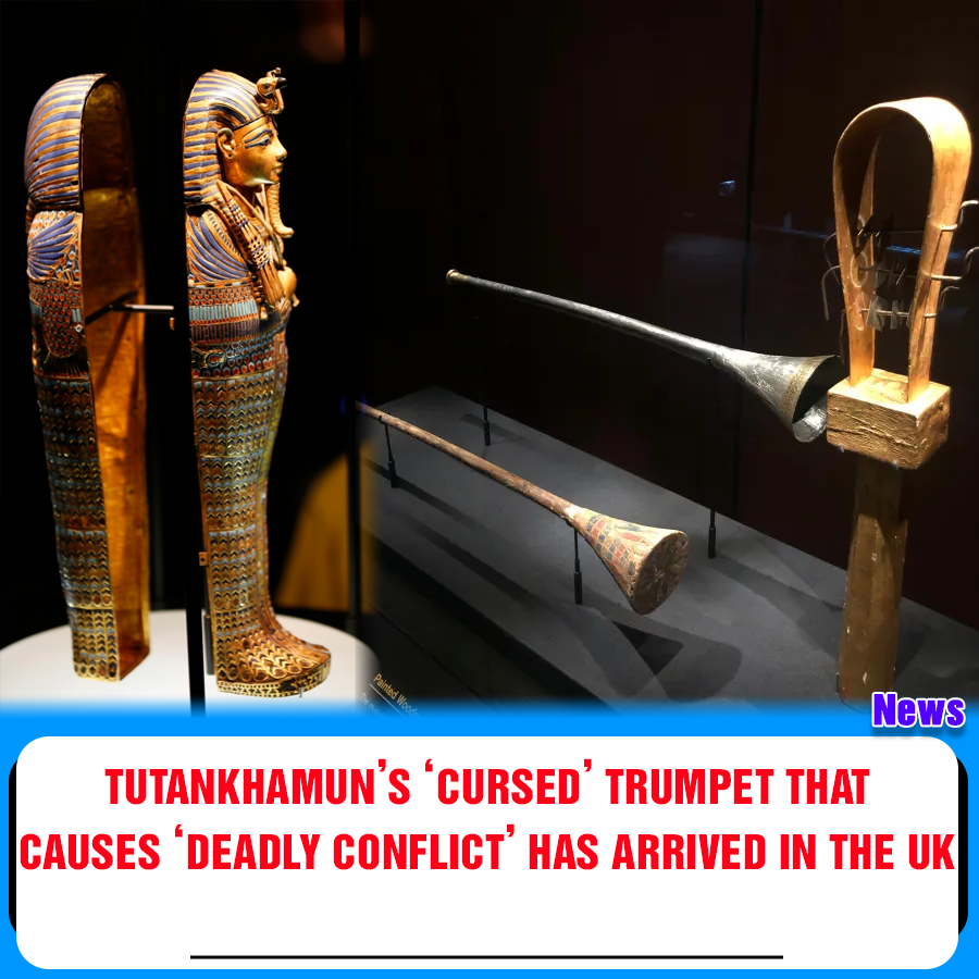 Tutankhamun’s ‘cursed’ trumpet that causes ‘deadly conflict’ has ...